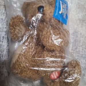 The Bedtime Bear Hear Him Say His Prayers NIP!!!!